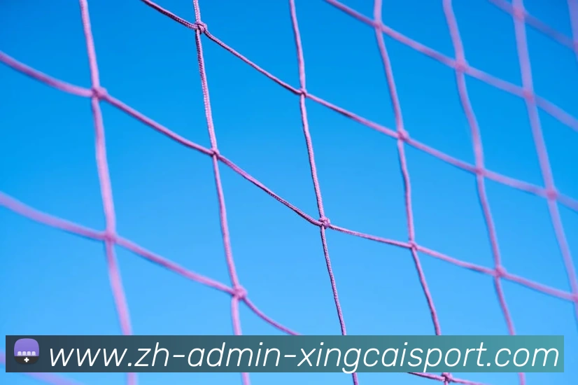 杏彩体育服务体系